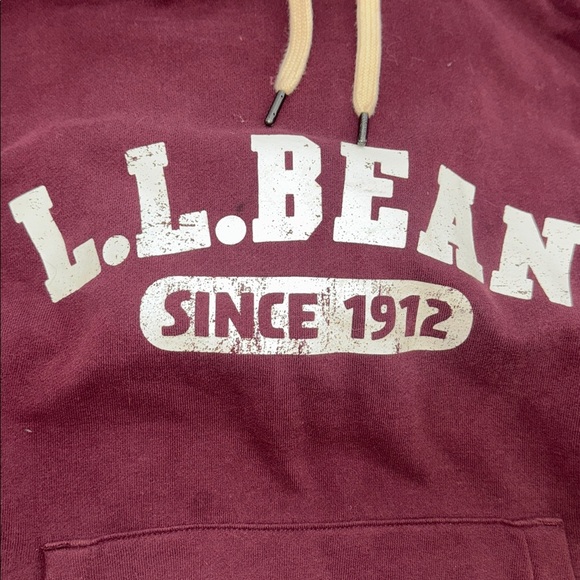 L.L.Bean since 1912 Spell out Logo Sweatshirt Hoodie Size SM Outdoor Camp - Picture 3 of 8